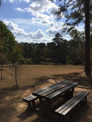 Picnic tables and the pond with bridge & island