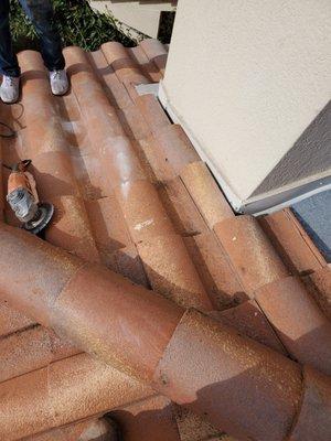 Reliable Roofing & Repairs