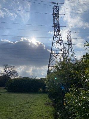 Here comes the sun... Crawford Park, Downey, CA (3-29-22)