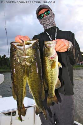 Tripled up on Large Mouth Bass in Central Florida!