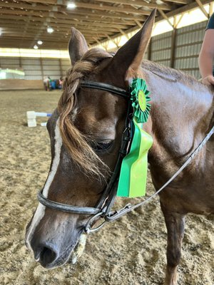 Talbot Run Equestrian Center