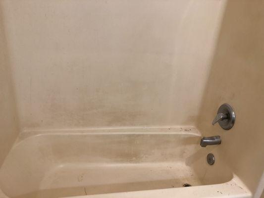 Bathtub before cleanup.