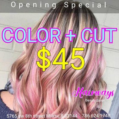 OPENING SPECIAL COLOR + CUT ONLY $45