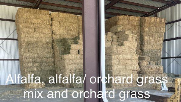 Alfalfa, alfalfa/orchard grass mix and orchard grass