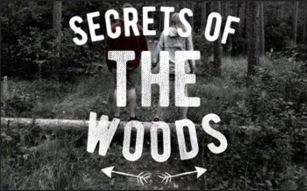 Secrets of the woods plays 4-8 players and is a prequel to One Dark Night