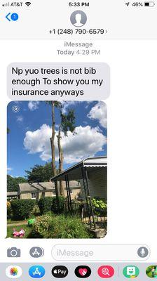 No Limit Tree Services