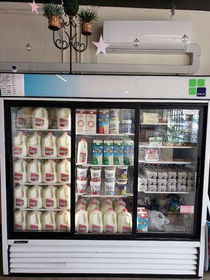 Milk, cheese, Soy, Lactose free, yogurts