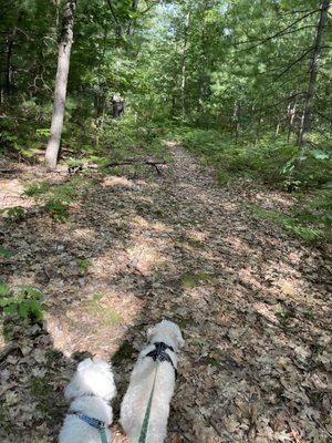 Their walking trail