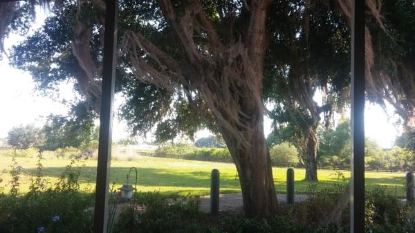 A view from the lani in the room. Very beautiful view.