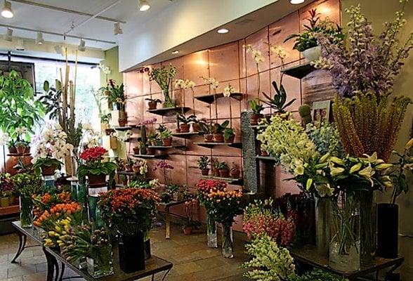 ROMA FLORIST