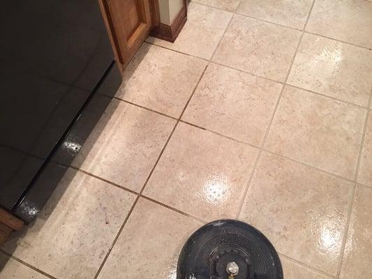 Tile & Grout cleaning.