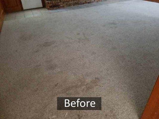 Before - dirty carpet