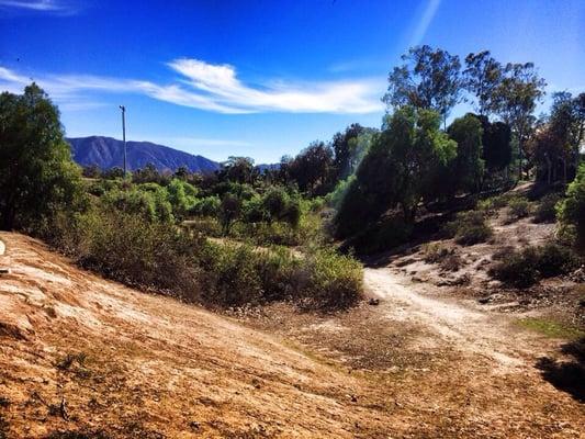 Nice little area on the side of the park to go for a small hike.