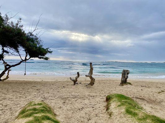 Early morning surf session, beach to ourselves!