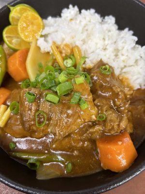 Beef Stew and Rice for Private Dinner