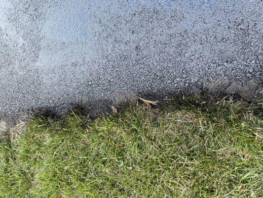 He sprayed our grass because he refused to use protective barriers even though he said he would.