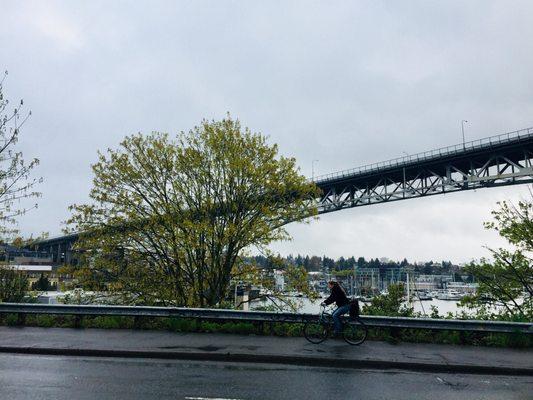 Cycling even in the rain. So Seattle. But no helmet?!?!