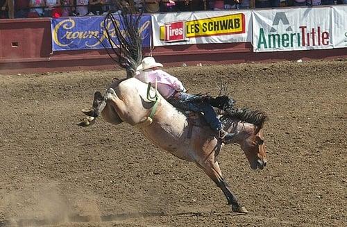 Bucking bronco, pink shirt