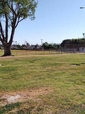 Baseball field