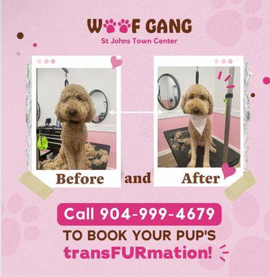 A great  TransFURmation!