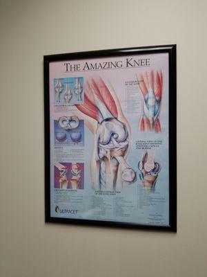 Knee info