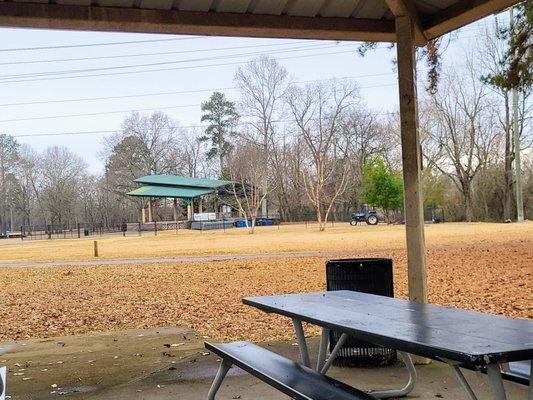 Picnic tables across the lawn from the stage