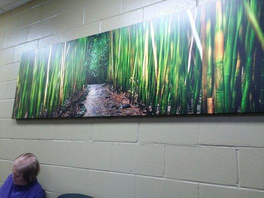 Clean and calming waiting room.  The whole office is very nice for a doctors office.