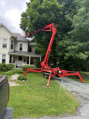 A Bees Tree Service