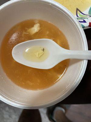 1 of the bugs found in my soup