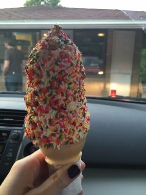 Medium Vanilla Soft Serve with sprinkles. So good! You'll never want Dairy Queen again.