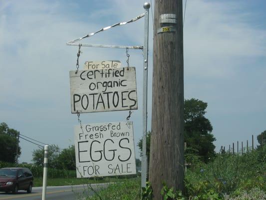 Gideon Stoltzfus Family Farm