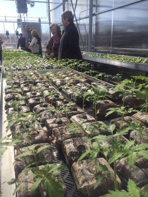 Coble Stone Greenhouse next to the Brightwater