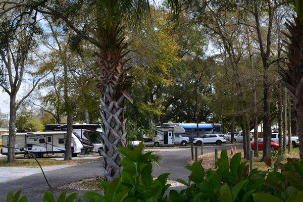 Watson Bayou Marina and Heritage Oaks RV Park