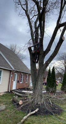 Jireh’s Tree Service & Landscaping