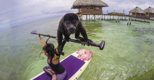 Pau Hana Lotus yoga SUP