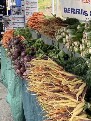 Outer Sunset Farmers Market San Francisco - Veg