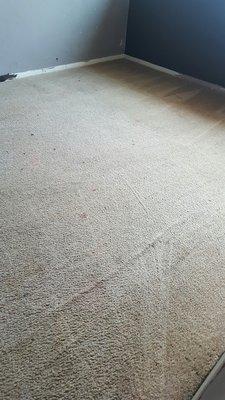 Perez's Steam Carpet Cleaning