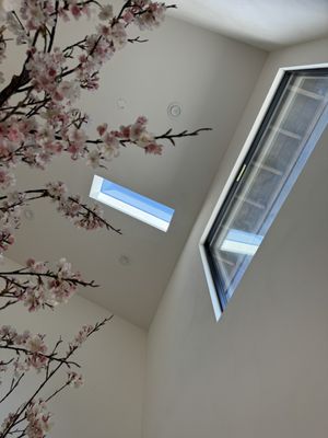 Skylight drywall level 5  and paint