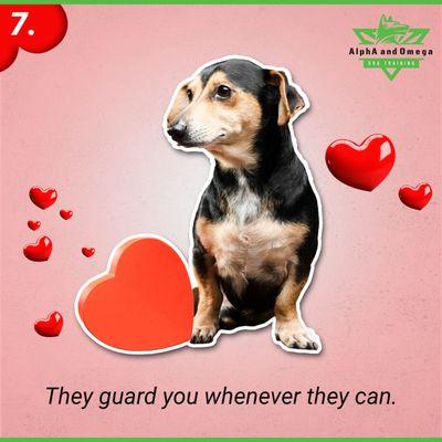 Unlock the secret language of love with your furry bestie!