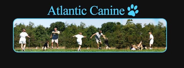 Atlantic Canine Training-Boarding Ctr