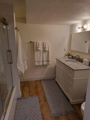 A brand new bathroom added to a basement in Lakeville MN