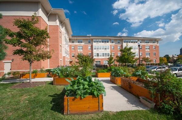 Raised Planting Beds