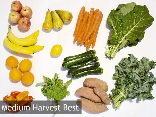 Medium Harvest Best