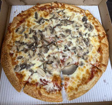 Mushroom Pizza 14" - good overall flavor for a NE/Greek style pizza if that's your style. Crust tastes like cracker and a little buttery.