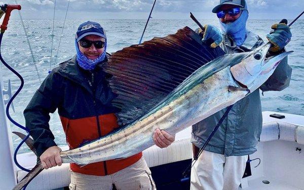 Looking to snag a sailfish? We have you covered!