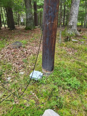 Telephone wires and box left on my lawn