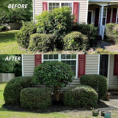 Columbia Hedge Trimming