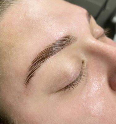 Fresh Brow Lamination