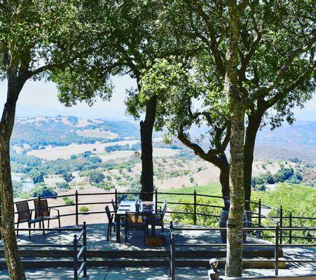 Connections Luxury Wine Country Experiences