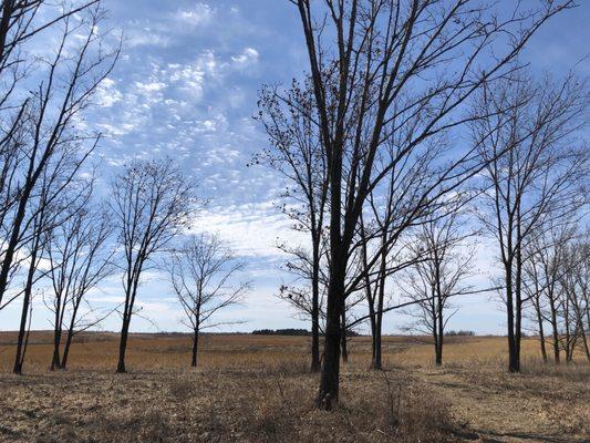 March in the grasslands. Windy and serene